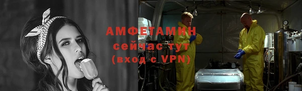 ПСИЛОЦИБИНОВЫЕ ГРИБЫ Абаза