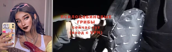 гашик Алзамай