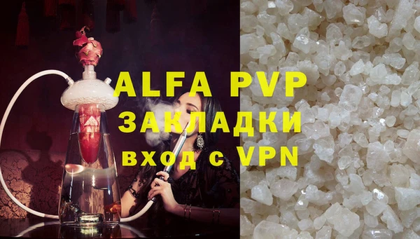 ПСИЛОЦИБИНОВЫЕ ГРИБЫ Абаза